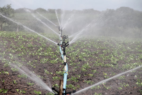 庆阳高效园林智能灌溉设备