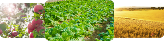 1764072099200869.png 微信图片_2025-11-25_200008_616.png